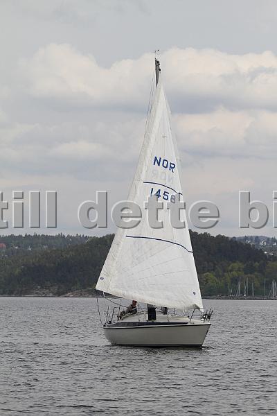 Bundefjorden2012 292.jpg